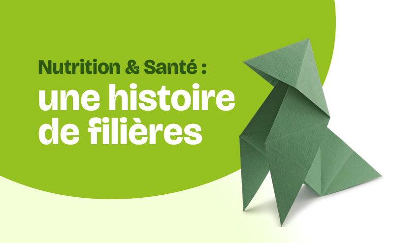 Visuel vert avec origami et texte « Nutrition & Santé : une histoire de filières ».